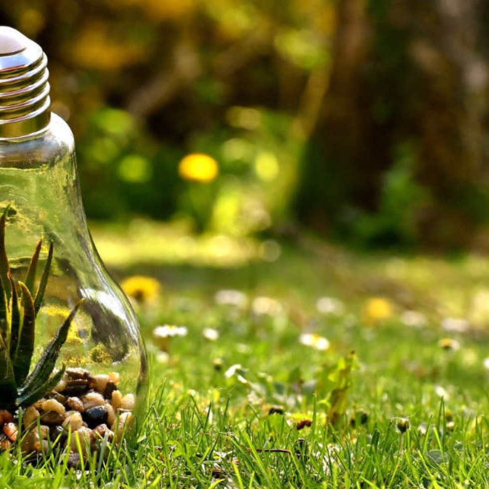 Lorem ipsum dolor sit amet, consectetur adipisicing elit. Consequuntur architecto,